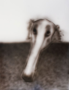 Thibaut Cudré-Mauroux