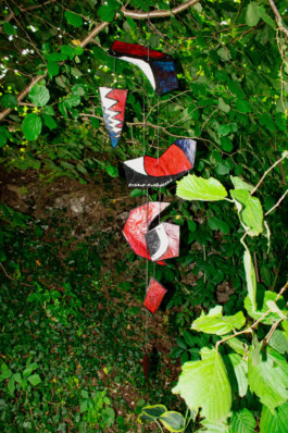 Thibaut Cudré-Mauroux