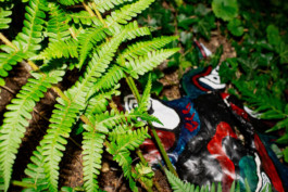 Thibaut Cudré-Mauroux