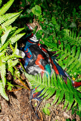 Thibaut Cudré-Mauroux