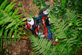 Thibaut Cudré-Mauroux