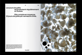 hail book editorial design Thibaut Cudré-Mauroux