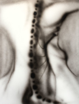 Airbrush spine painting Thibaut Cudré-Mauroux