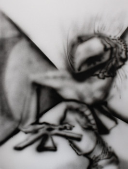 Thibaut Cudré-Mauroux