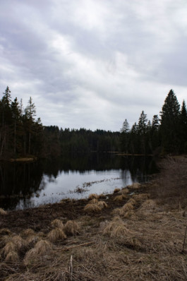 Nature picture Thibaut Cudré-Mauroux