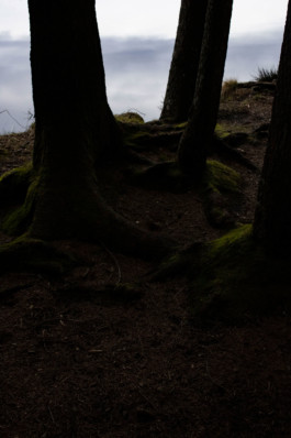 Nature picture Thibaut Cudré-Mauroux