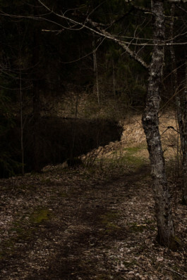 Nature picture Thibaut Cudré-Mauroux