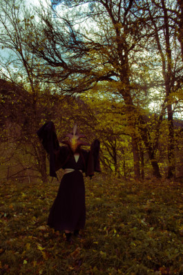 Entity in nature Thibaut Cudré-Mauroux