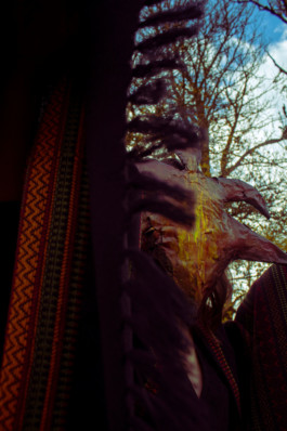 Entity in nature Thibaut Cudré-Mauroux