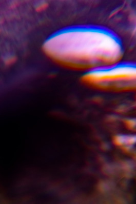 Bubbles Thibaut Cudré-Mauroux