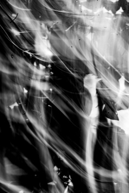 Abstract photography Thibaut Cudré-Mauroux