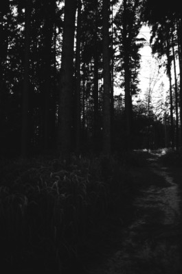 Analog photography Prague Thibaut Cudré-Mauroux