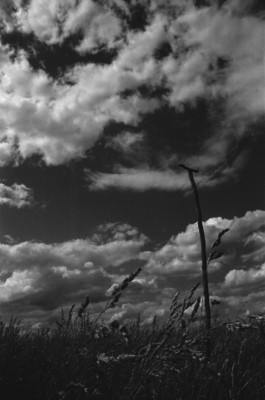 Analog photography Prague Thibaut Cudré-Mauroux