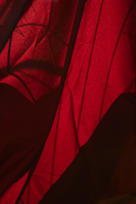  Thibaut Cudré-Mauroux