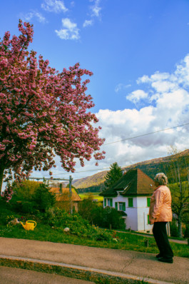  Thibaut Cudré-Mauroux