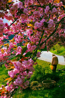  Thibaut Cudré-Mauroux