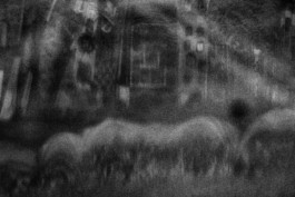  Thibaut Cudré-Mauroux