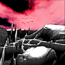 Generative art illustration Thibaut Cudré-Mauroux