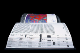 internship report book editorial design Thibaut Cudré-Mauroux