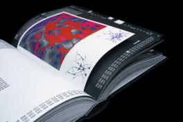internship report book editorial design Thibaut Cudré-Mauroux