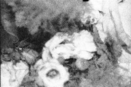 Thibaut Cudré-Mauroux