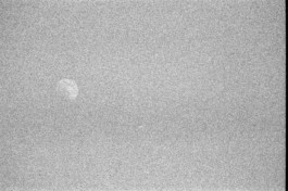 Thibaut Cudré-Mauroux