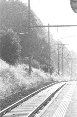 Thibaut Cudré-Mauroux