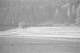 Thibaut Cudré-Mauroux