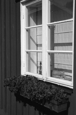 Thibaut Cudré-Mauroux