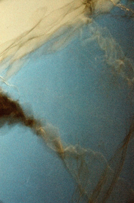 Thibaut Cudré-Mauroux