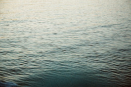 Thibaut Cudré-Mauroux