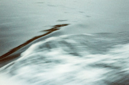 Thibaut Cudré-Mauroux