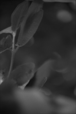 Thibaut Cudré-Mauroux