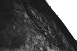 Thibaut Cudré-Mauroux