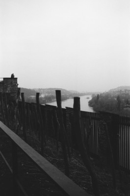 Thibaut Cudré-Mauroux