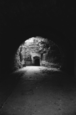 Thibaut Cudré-Mauroux