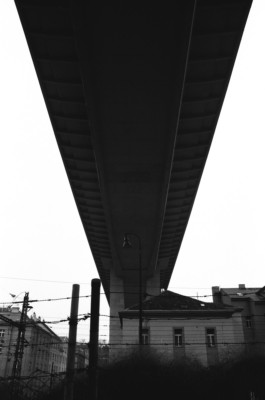 Thibaut Cudré-Mauroux