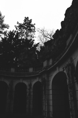 Thibaut Cudré-Mauroux