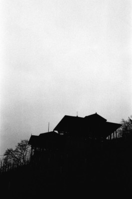 Thibaut Cudré-Mauroux