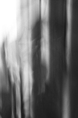 Thibaut Cudré-Mauroux