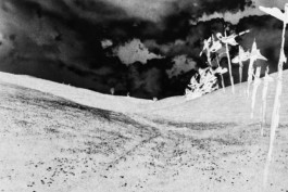 Thibaut Cudré-Mauroux