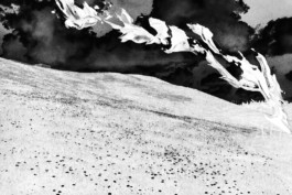 Thibaut Cudré-Mauroux