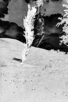 Thibaut Cudré-Mauroux