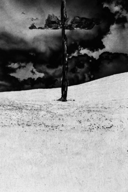 Thibaut Cudré-Mauroux