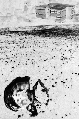 Thibaut Cudré-Mauroux