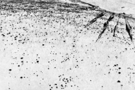 Thibaut Cudré-Mauroux