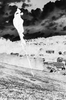 Thibaut Cudré-Mauroux