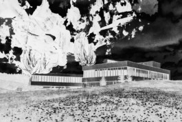 Thibaut Cudré-Mauroux