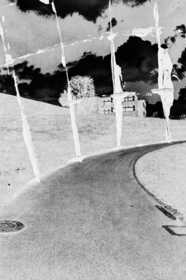 Thibaut Cudré-Mauroux