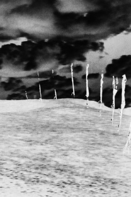 Thibaut Cudré-Mauroux